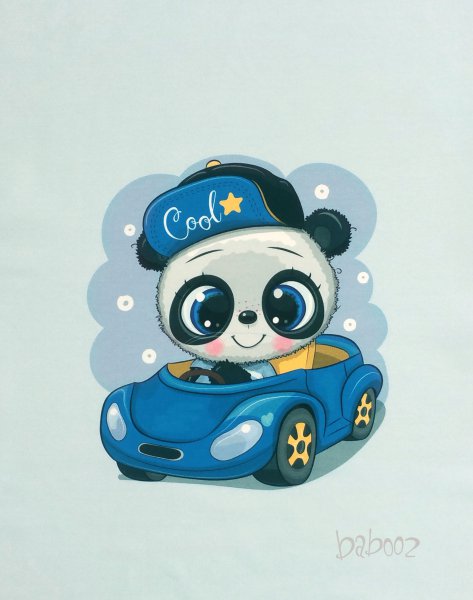 Panel Panda cool in Auto